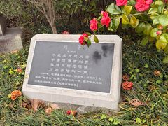 -柳侯公园