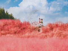 -嘉北郊野公园