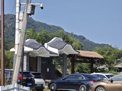 -大姆山草场