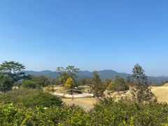 -MUJOSH木九十(世纪汇广场店)