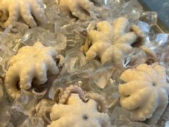 -铭聚章鱼土笋冻(松柏店)