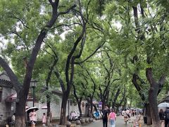 -北京国子监胡同