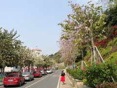-小南山公园
