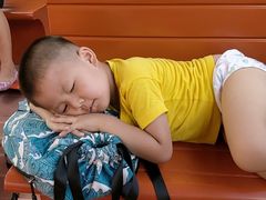 -永定河休闲森林公园