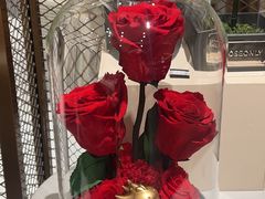 -ROSEONLY诺誓(磐基中心店)