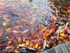 -泰安地下龙宫景区