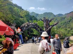 -龙湾潭国家森林公园