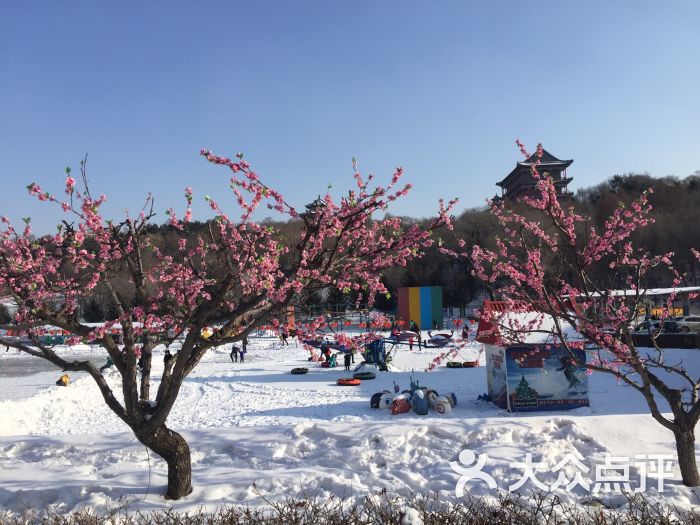 北山冰雪大世界图片 - 第11张