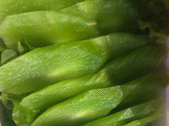 -草原塞蛮羊火锅城(港湾店)