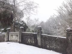 -沙市市中山公园