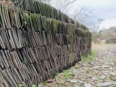 -新安江山水画廊风景区