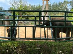 -秦皇岛野生动物园