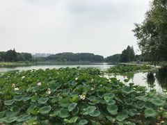 -菱湖风景区