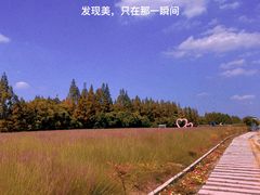-嘉北郊野公园