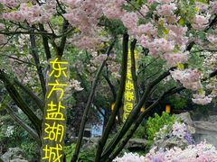 -茅山东方盐湖城景区