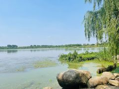 -九里河湿地公园