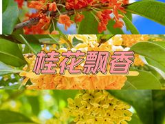 -上海辰山植物园