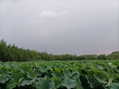 -云龙湖旅游景区