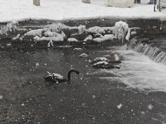 -水磨沟公园