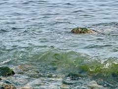-银沙滩浴场
