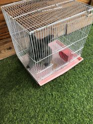 -萌宠亲子动物乐园(槐房万达店)