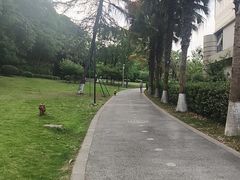 -成都市活水公园