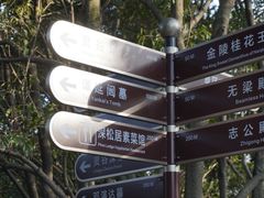 -灵谷景区