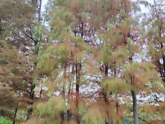 -滨湖塘西河公园