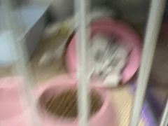 -嘉馨宠物医院·CT影像转诊·心脏科·犬猫全科诊疗中心(下沙大学城院区)
