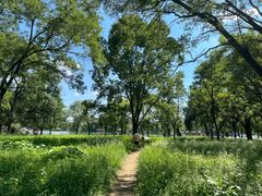 -承德避暑山庄景区