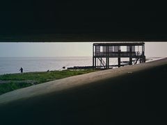 -合肥滨湖国家森林公园