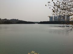 -广东花都湖国家湿地公园