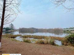 -白鹭湾湿地公园