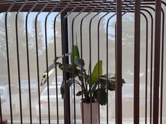 -奔驰上海利星(七宝店)