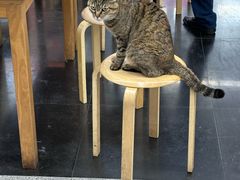 -龙华素斋(龙华路店)