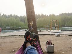 -东方巨龟苑景区