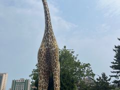 -西霞口神雕山野生动物世界