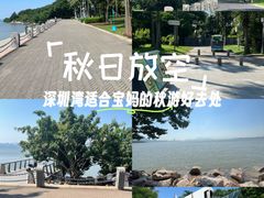 -深圳湾公园(南山区)