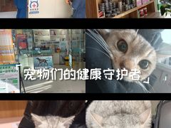 -玖佳宠物医院·泌尿·骨科·中老年病