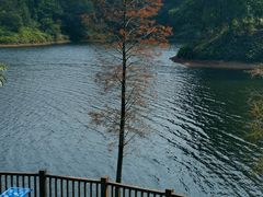 -红花湖景区