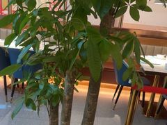 -悦海·家宴·冰花皮皮虾大锅贴(宝龙店)