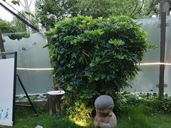 -树厨贵州菜(铜仁花果山店)