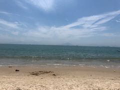 -广东惠东海龟国家级自然保护区