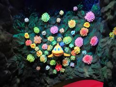 -珠海长隆海洋王国