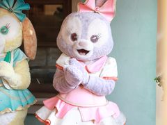 -IL paperino帕帕里诺冰激凌