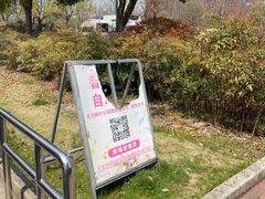 -顾村公园3号门停车场