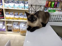 -老吴的猫·猫舍(新区店)