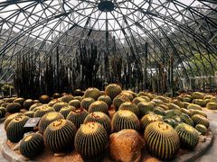 -深圳仙湖植物园