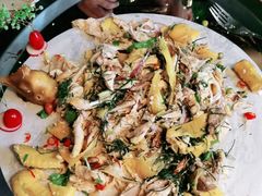 -食德喜·阳山鸡王食研基地