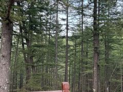 -驼梁风景区